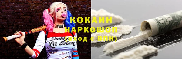 тгк Дмитриев
