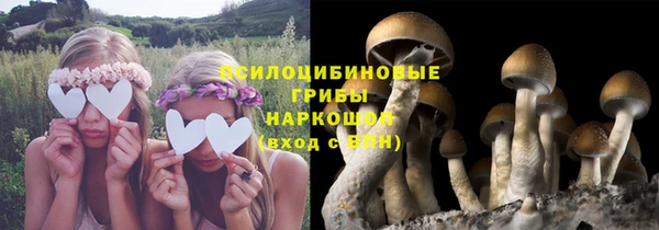 мдма Дмитровск