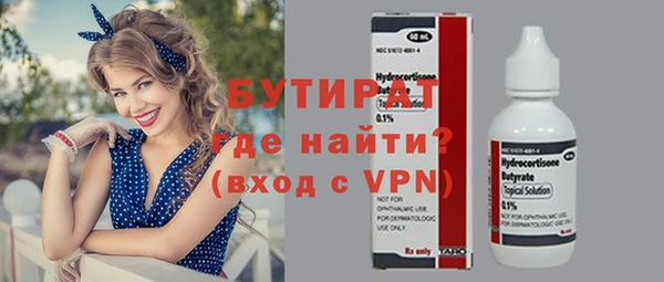 тгк Дмитриев