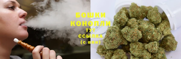 тгк Дмитриев
