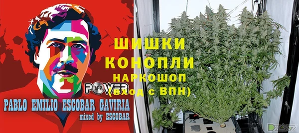 тгк Дмитриев