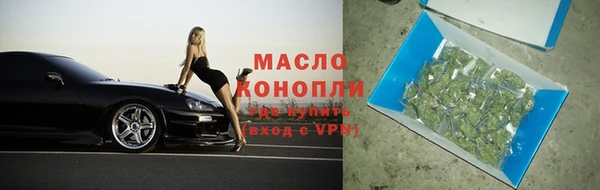 тгк Дмитриев