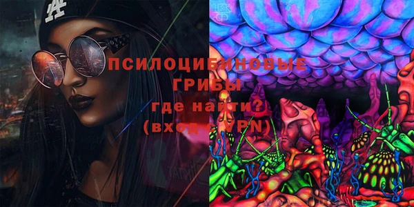 тгк Дмитриев