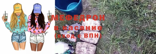 тгк Дмитриев