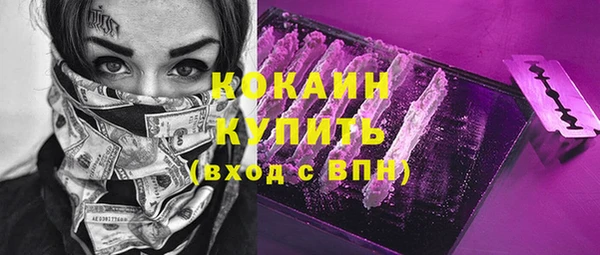 тгк Дмитриев