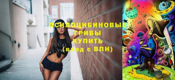 ГАЛЛЮЦИНОГЕННЫЕ ГРИБЫ Новокубанск