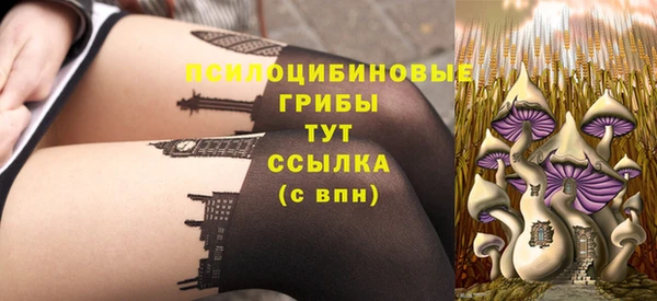 тгк Дмитриев