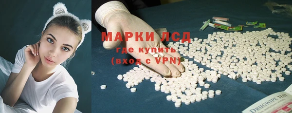 тгк Дмитриев